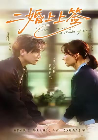 二婚上上签（71集）袁柳哲＆赵帅 高清完整版