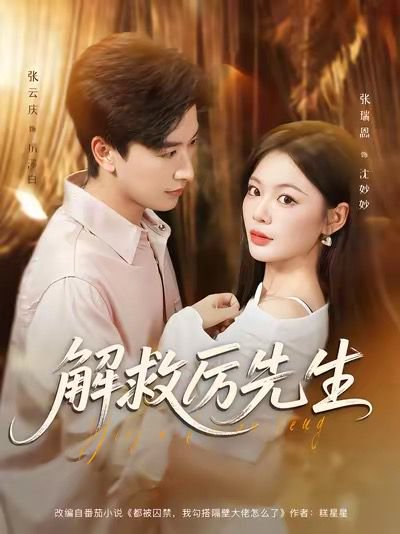 解救厉先生（84集）张云庆＆张瑞恩 高清完整版