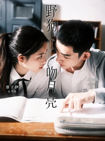 野狗吻月亮（68集）马浩东&蔡子伊 高清完整版