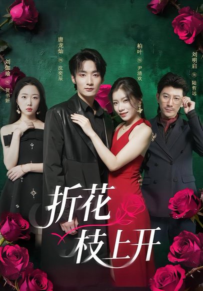 折花枝上开（51集）唐龙灿＆柏叶 高清完整版